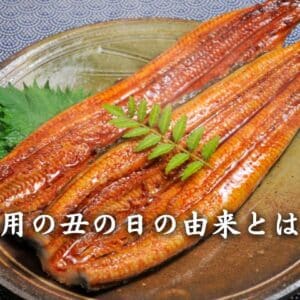 土用の丑の日の由来とは?意味や平賀源内説、食べる理由を老舗うなぎ屋が解説