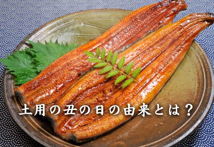 土用の丑の日の由来とは?