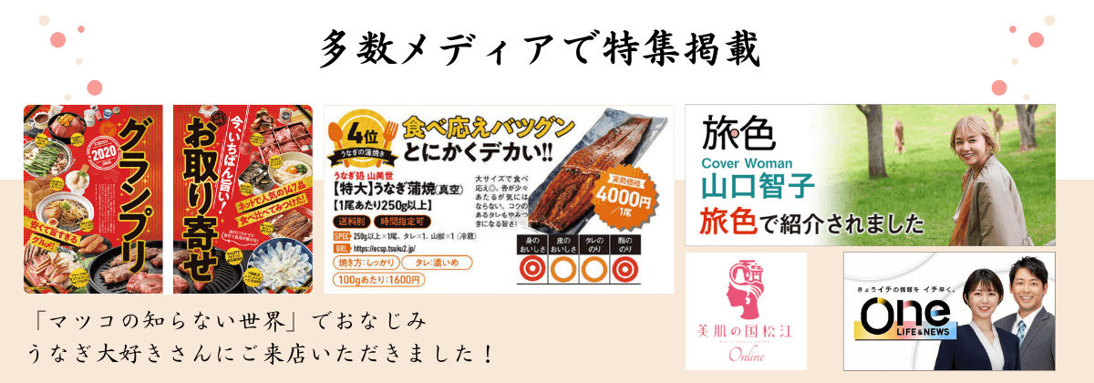 メディア掲載歴