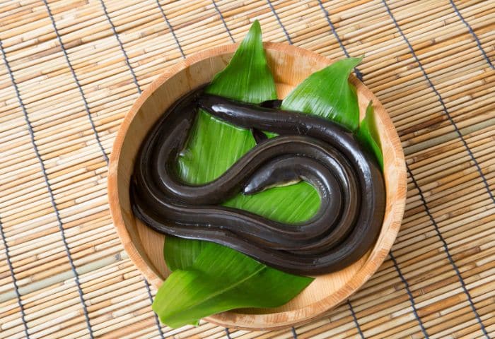 市場に出回る99%は養殖