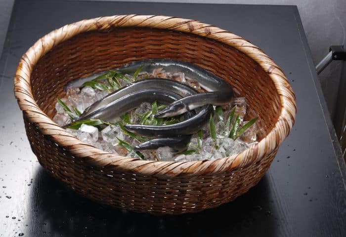 養殖うなぎの特徴