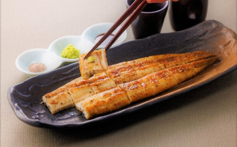 まとめ:鰻の栄養を正しく理解して活力を取り戻そう