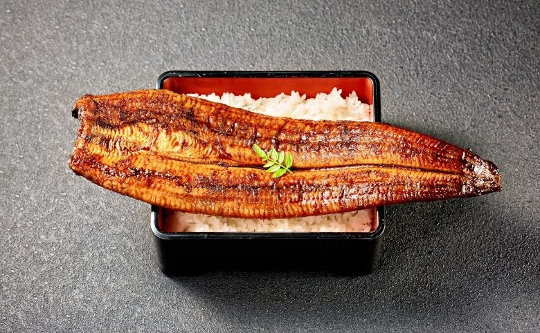 鰻の主な栄養成分表|100gあたりの含有量をチェック