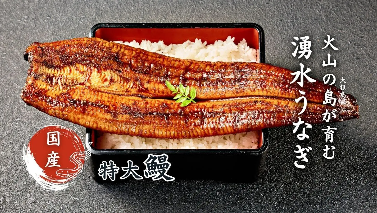 山美世の超特大うなぎ通販