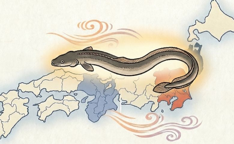 関東と関西でこれほど違う!地域別の捌き方と文化の背景