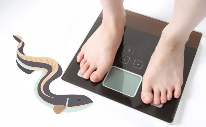 うな重のカロリーは?一人前の目安・ダイエット中の食べ方を解説