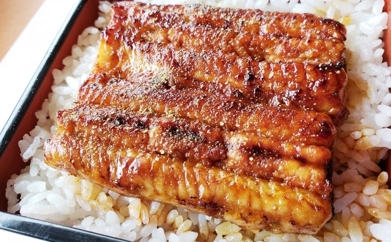 内祝いで喜ばれる美味しい国産うなぎの選び方